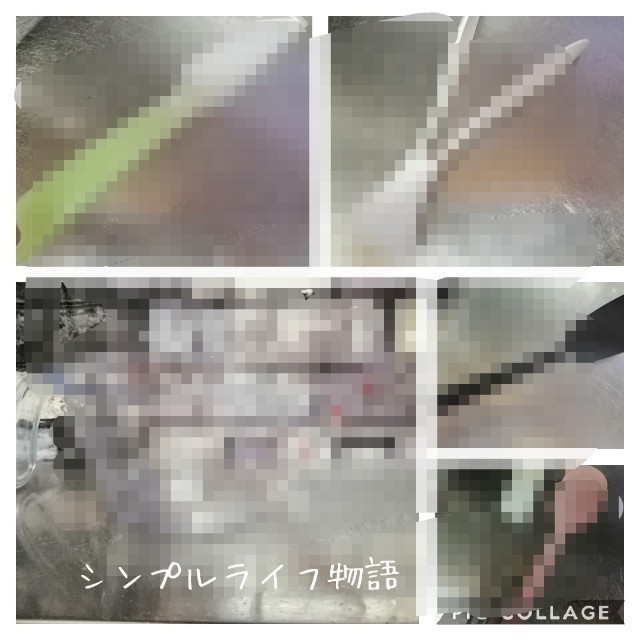 f:id:mayusachi:20190723112315j:image