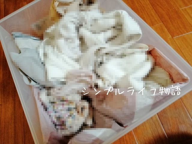 f:id:mayusachi:20190809134129j:image