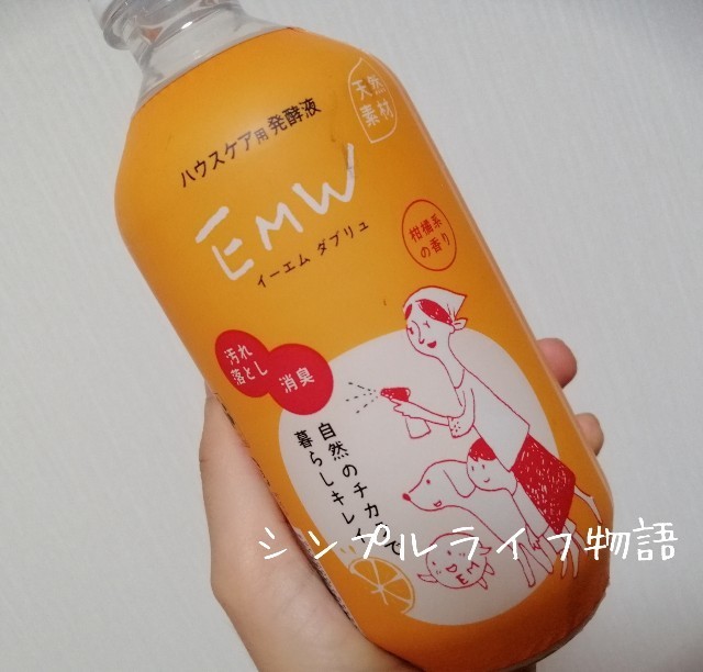 f:id:mayusachi:20190815135249j:image