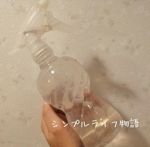 f:id:mayusachi:20190815135335j:image