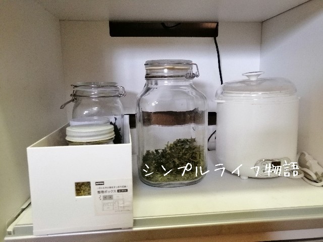 f:id:mayusachi:20190829141256j:image
