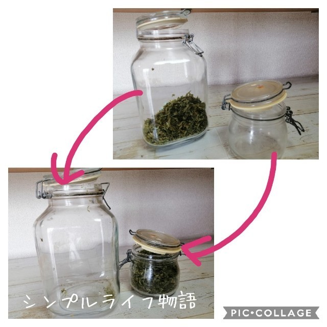 f:id:mayusachi:20190829141349j:image