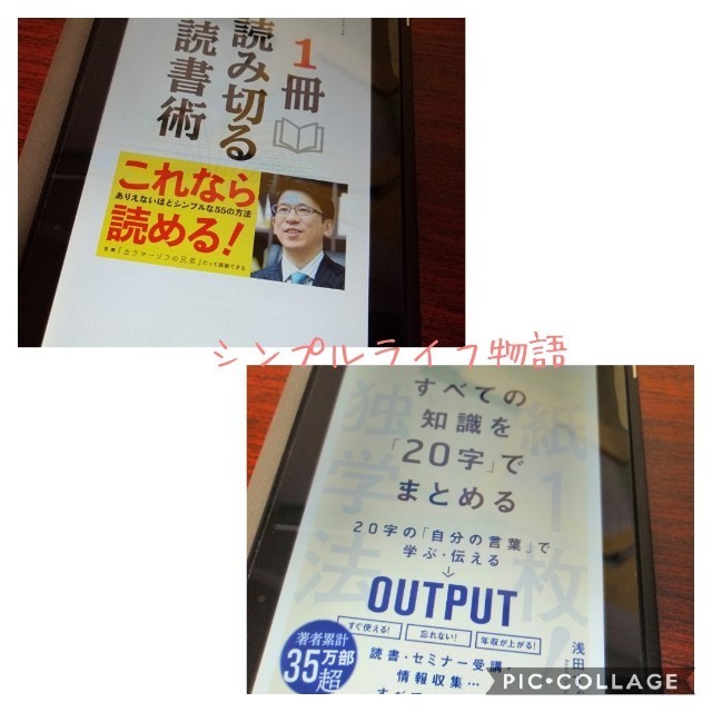 f:id:mayusachi:20190912121457j:image