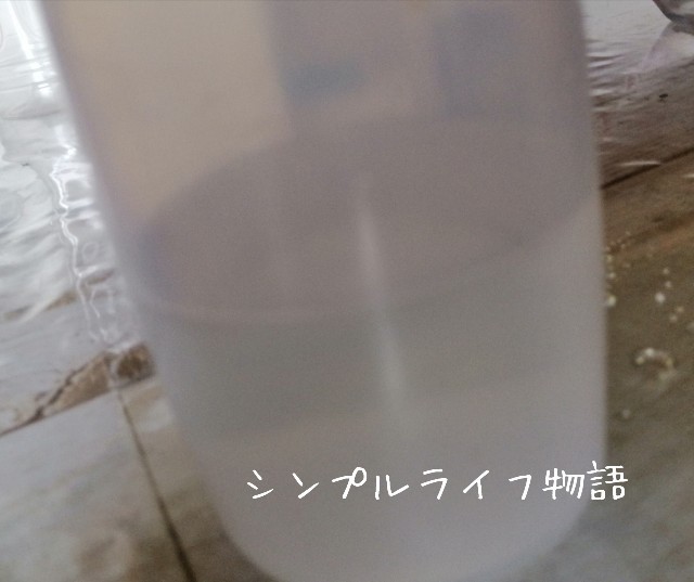 f:id:mayusachi:20190914070406j:image