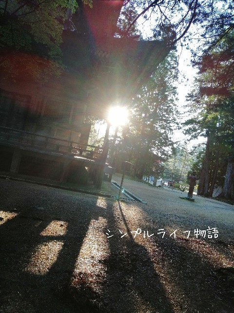 f:id:mayusachi:20190916145944j:image f:id:mayusachi:20190916145944j:image