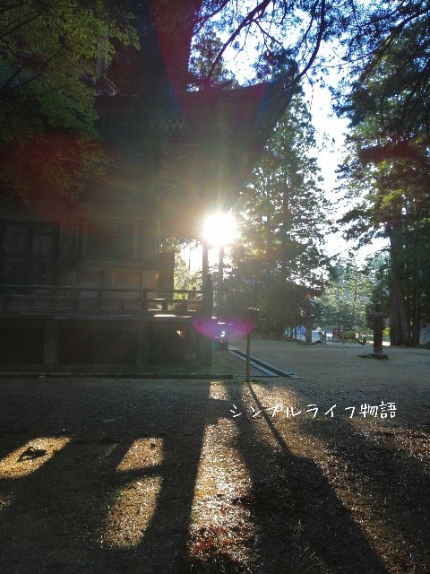 f:id:mayusachi:20190916150003j:image f:id:mayusachi:20190916150003j:image