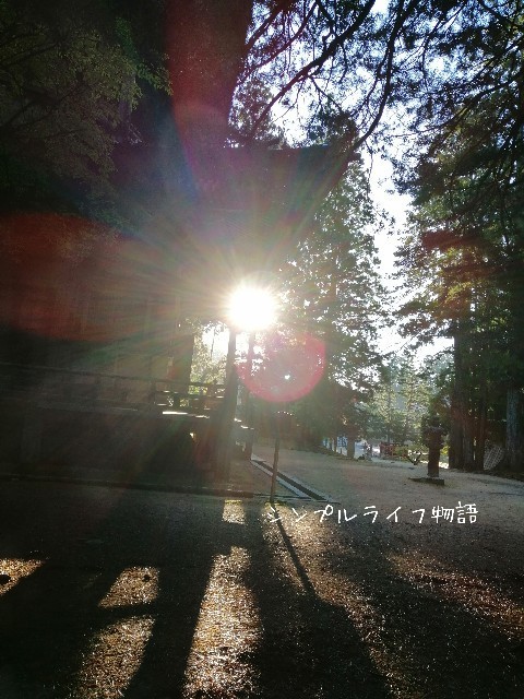 f:id:mayusachi:20190916150017j:image f:id:mayusachi:20190916150017j:image