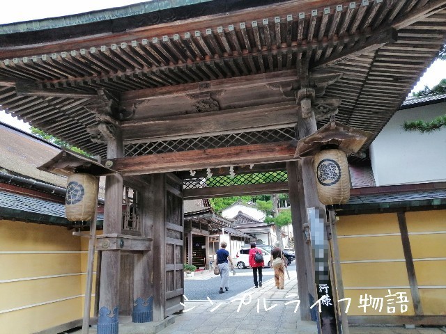 f:id:mayusachi:20190916152946j:image f:id:mayusachi:20190916152946j:image