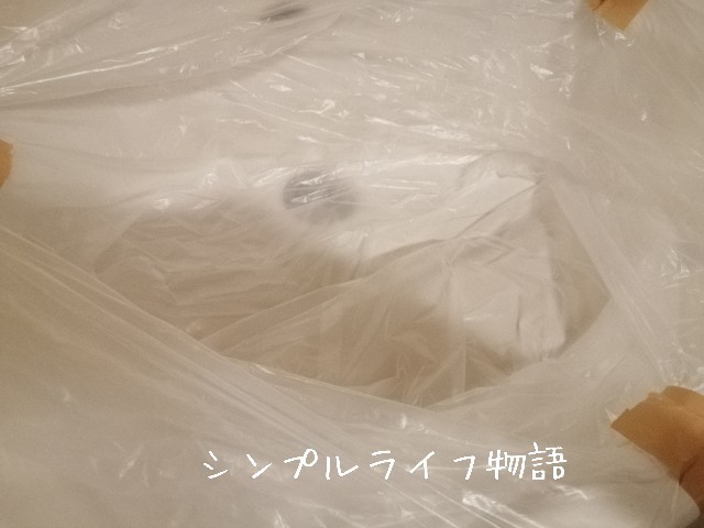 f:id:mayusachi:20191001094548j:image