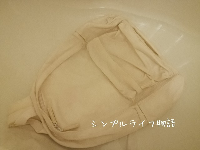 f:id:mayusachi:20191001094634j:image