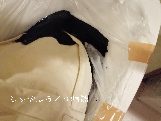 f:id:mayusachi:20191001095011j:image