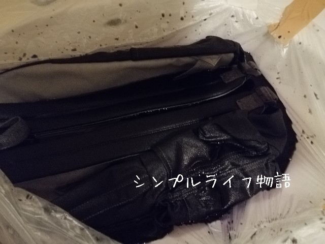f:id:mayusachi:20191001095147j:image