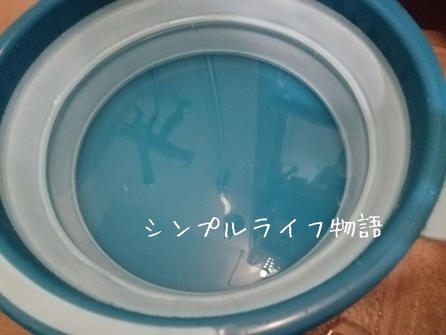 f:id:mayusachi:20191001095524j:image