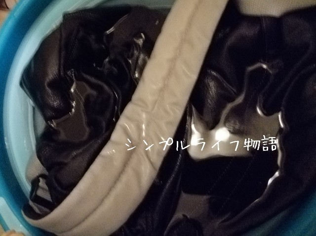 f:id:mayusachi:20191001095537j:image