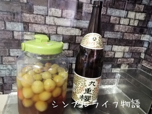 f:id:mayusachi:20191006131327j:image