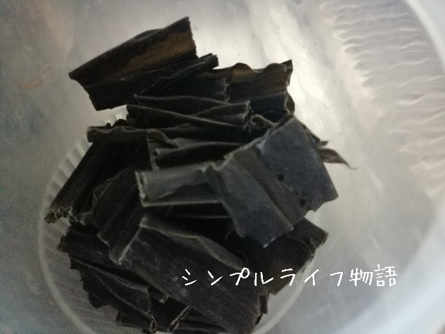 f:id:mayusachi:20191011122515j:image