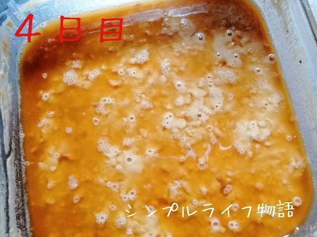 f:id:mayusachi:20191105123233j:image