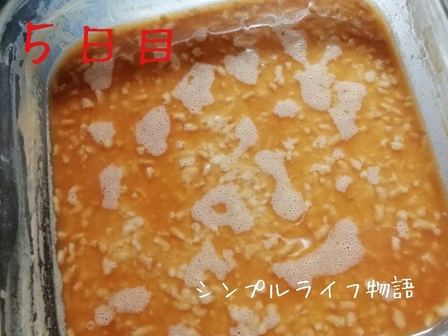 f:id:mayusachi:20191105123317j:image