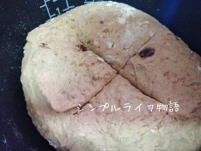 f:id:mayusachi:20191105123757j:image