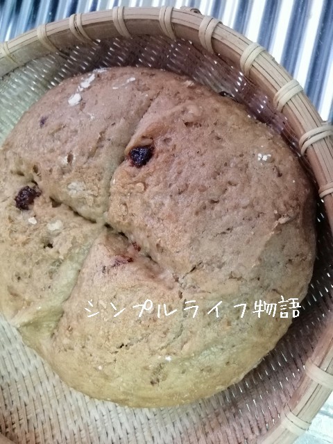 f:id:mayusachi:20191105123810j:image