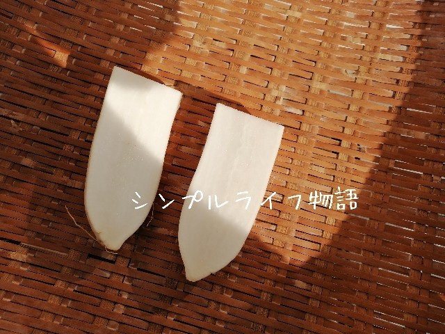 f:id:mayusachi:20191109100054j:image