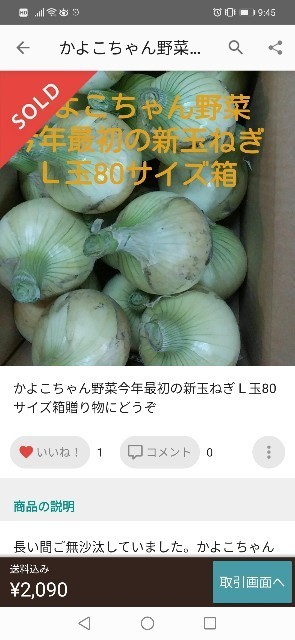 f:id:mayusachi:20200421110234j:image