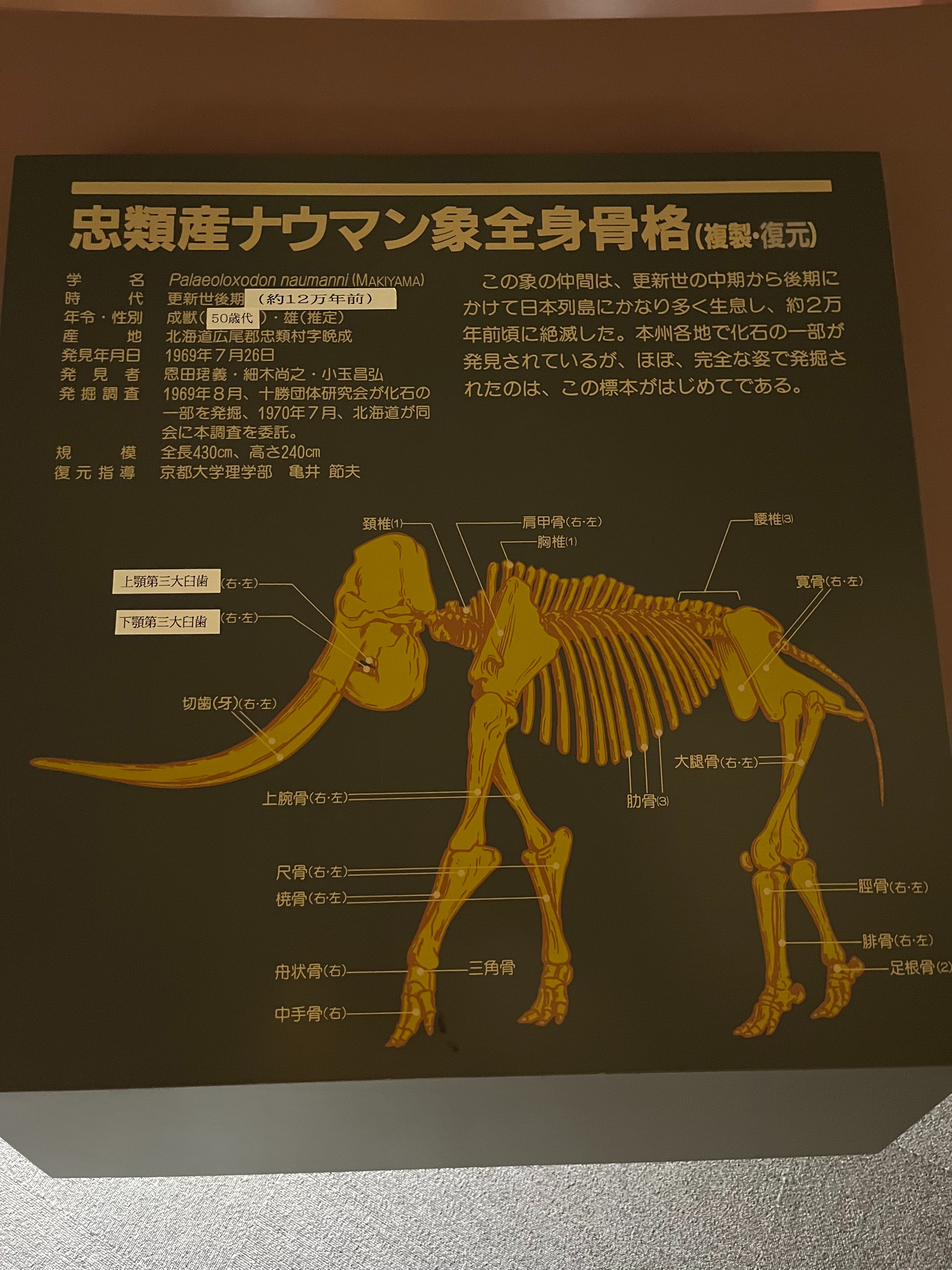 f:id:mayutanu:20230121174154j:image f:id:mayutanu:20230121174154j:image