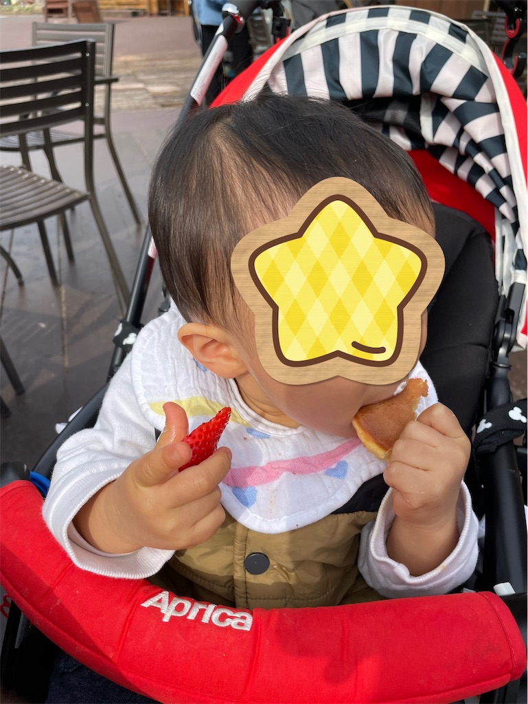 f:id:mayutomax:20210212203515j:image