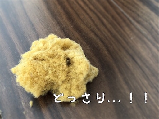 f:id:mayuuuuuuu520:20181113181430j:image f:id:mayuuuuuuu520:20181113181430j:image