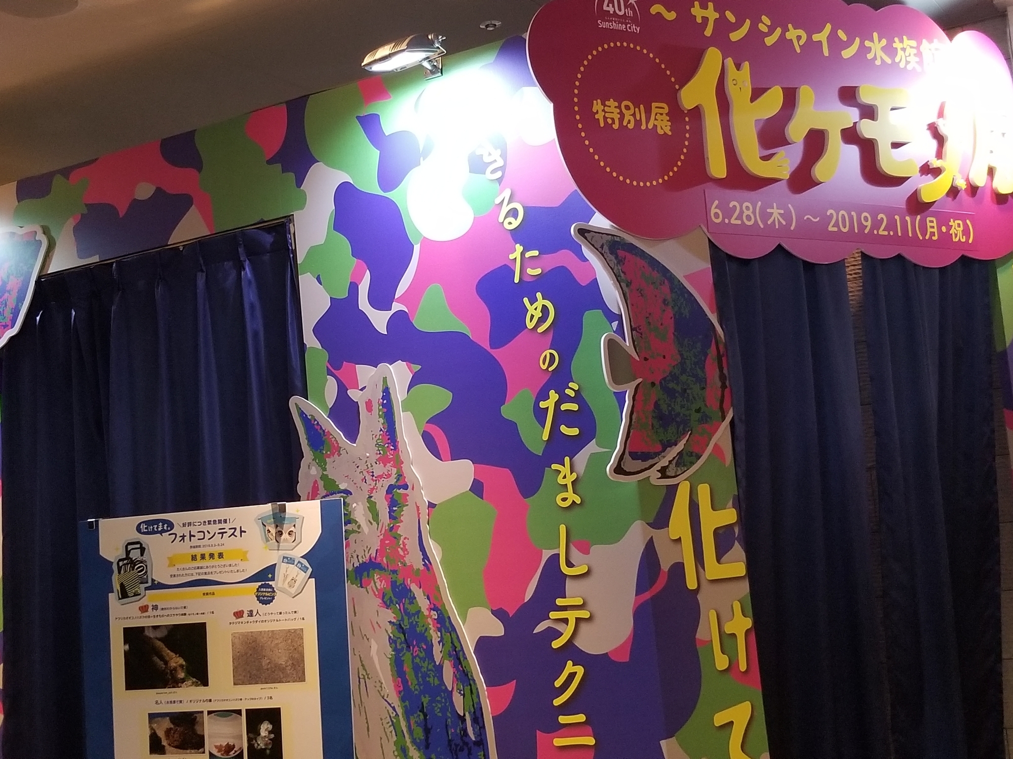 f:id:mayuyun96:20200108193040j:plain