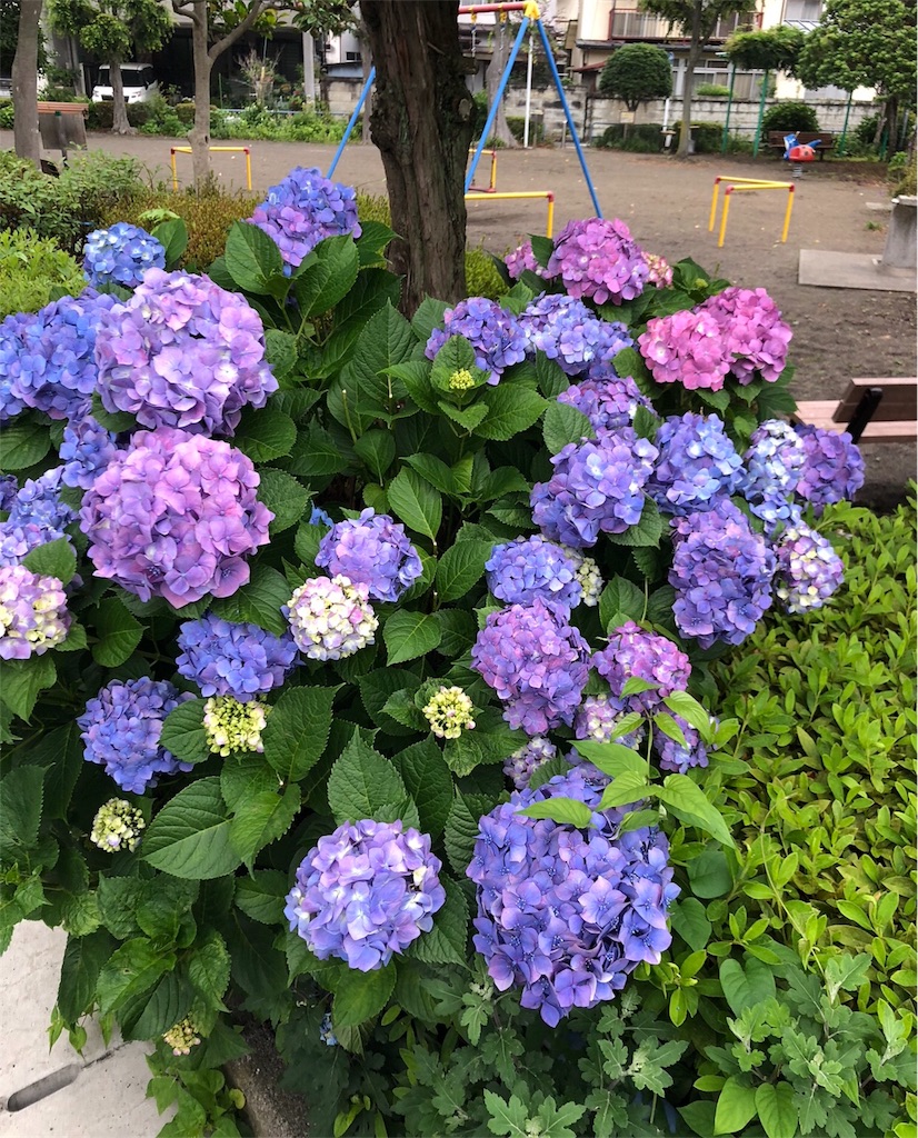 f:id:mazai:20180814002236j:image