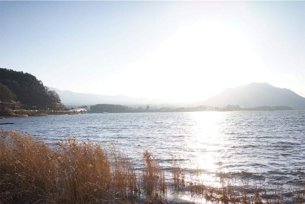 f:id:mazco:20190114192115j:plain