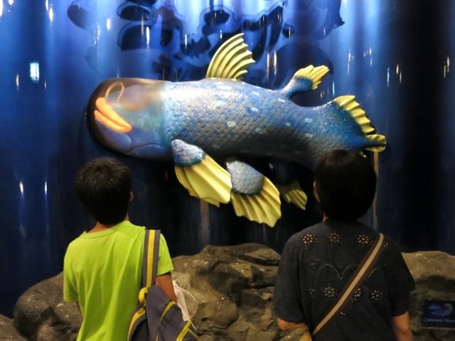 2014/08/25 沼津港新開水族館