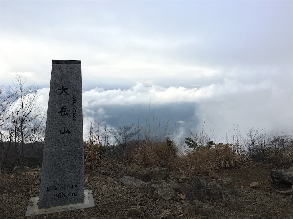 f:id:mazebronze:20181224135450j:image