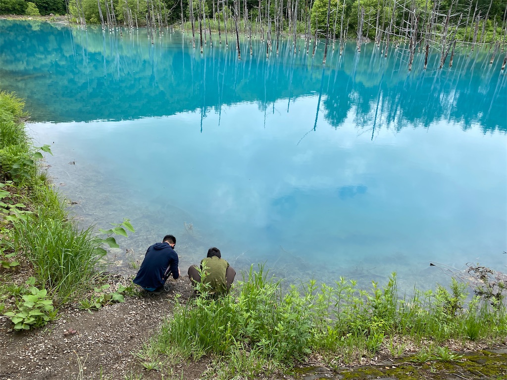 f:id:mazebronze:20200629220833j:image f:id:mazebronze:20200629220833j:image