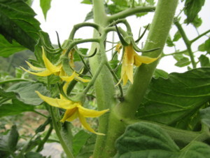 f:id:mazennda:20180523061109j:image f:id:mazennda:20180523061109j:image