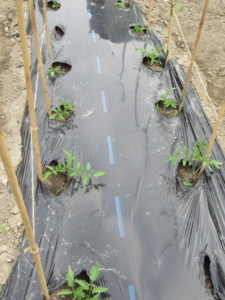 f:id:mazennda:20180523061240j:image f:id:mazennda:20180523061240j:image