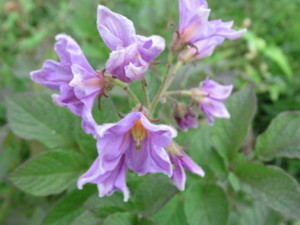 f:id:mazennda:20180523061303j:image f:id:mazennda:20180523061303j:image