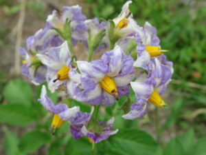 f:id:mazennda:20180523061315j:image f:id:mazennda:20180523061315j:image