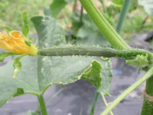 f:id:mazennda:20180523061326j:image f:id:mazennda:20180523061326j:image