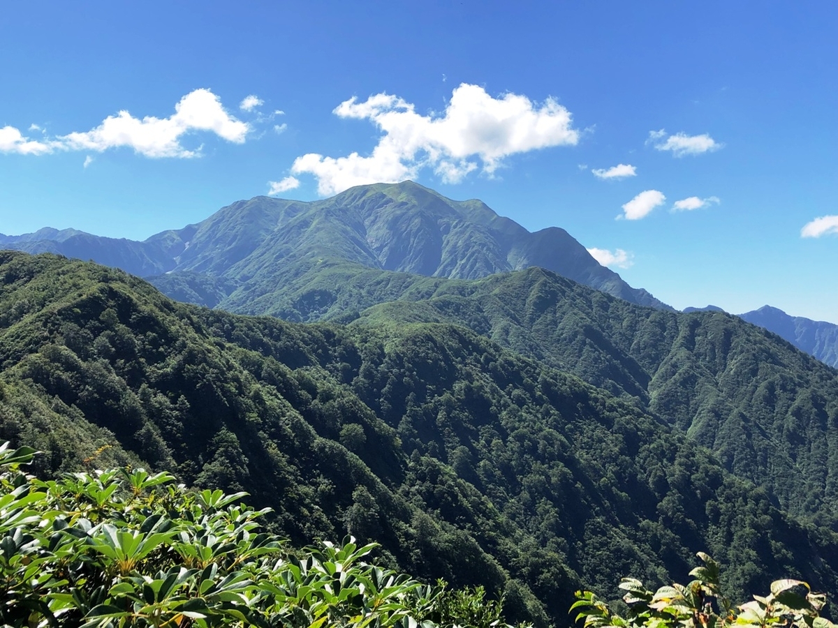 f:id:mazepparrigo:20190922063531j:plain