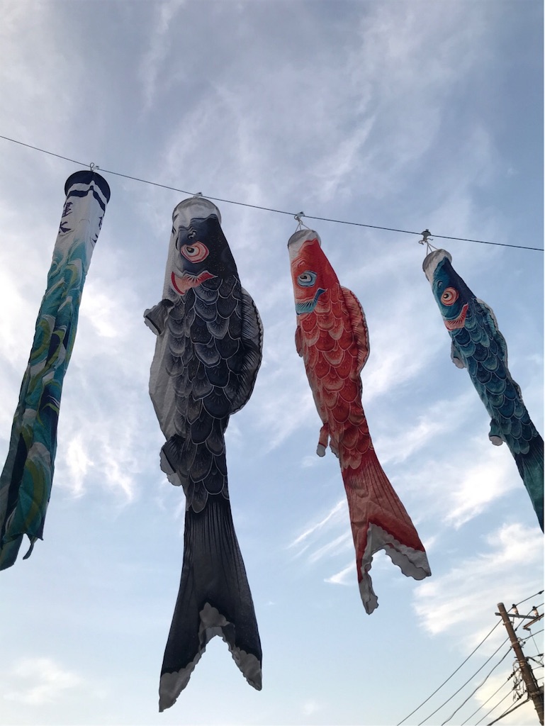 f:id:mazu-jirushii:20190505143254j:image f:id:mazu-jirushii:20190505143254j:image