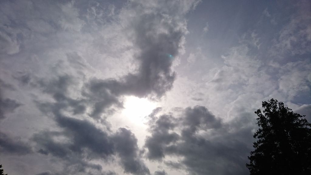 f:id:mazuna:20180901211859j:plain