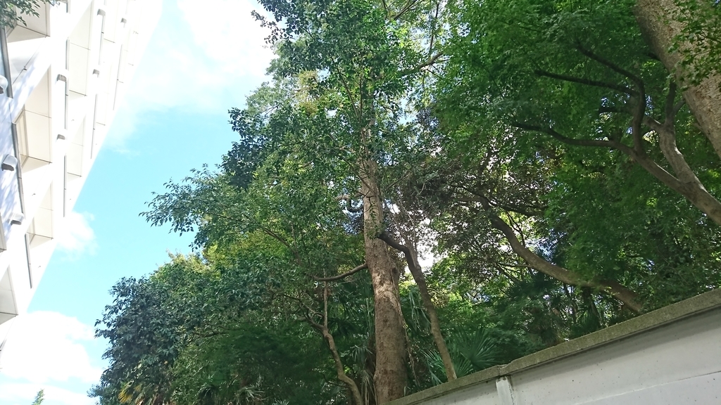 f:id:mazuna:20180910013258j:plain