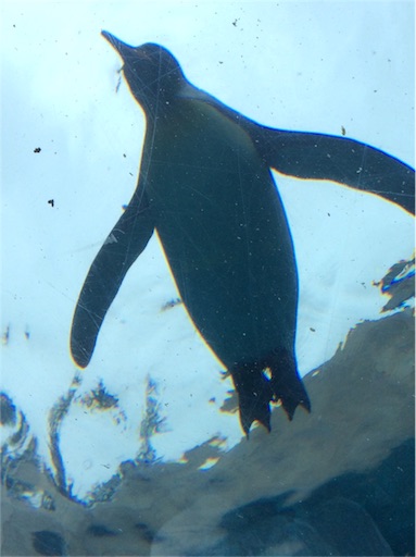 f:id:mbb-penguin:20160828115134j:plain