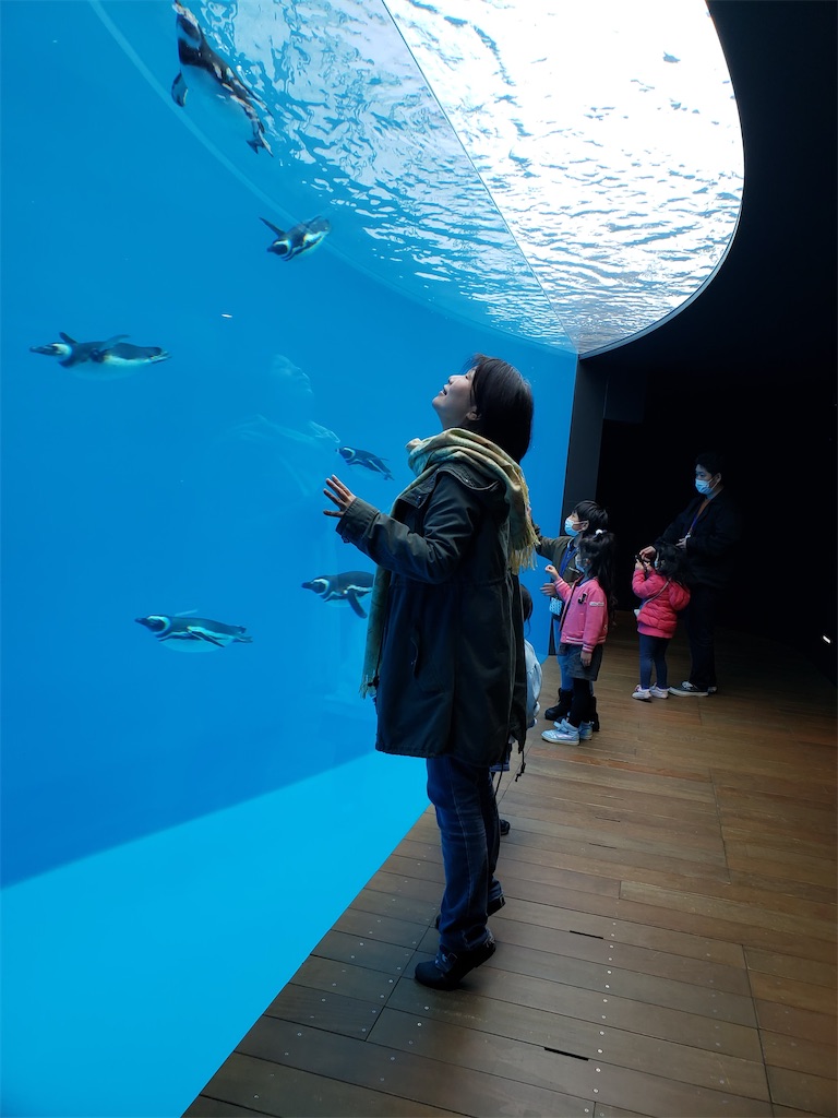 f:id:mbb-penguin:20200402214812j:plain