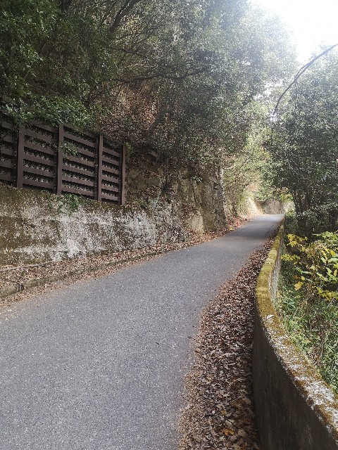 f:id:mbcms21:20201127212402j:image