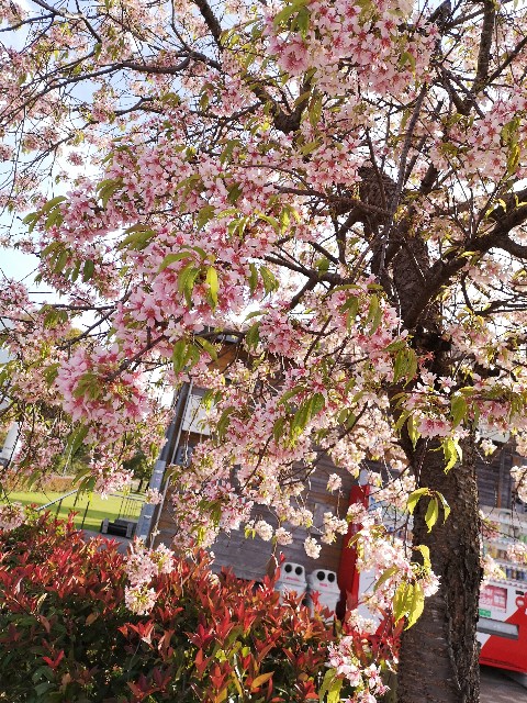 f:id:mbcms21:20201130231251j:image