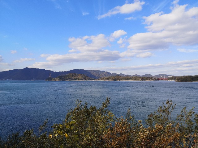 f:id:mbcms21:20201130231317j:image