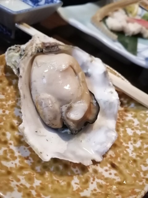 f:id:mbcms21:20201130231542j:image
